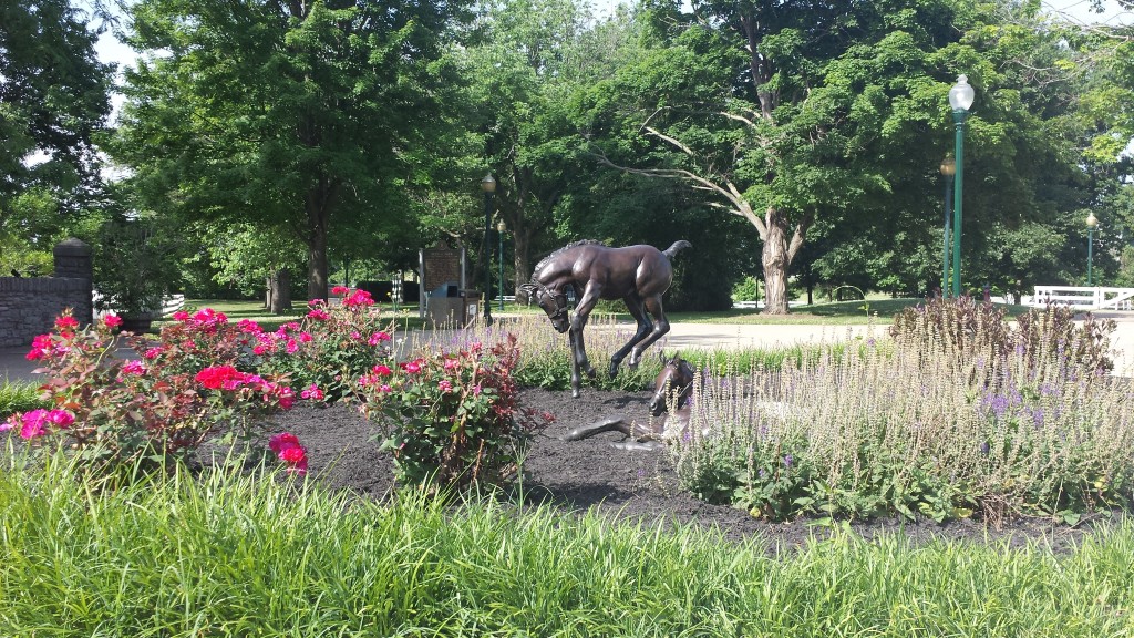 Kentucky Horse Park