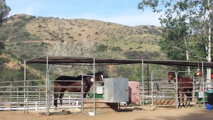 new barn