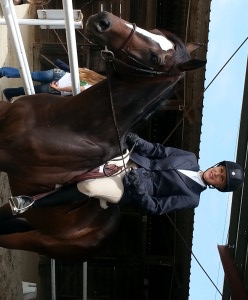 OTTB first horse show