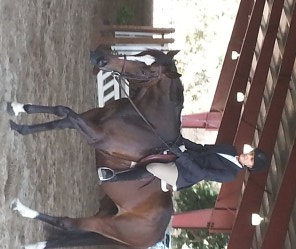 OTTB first horse show