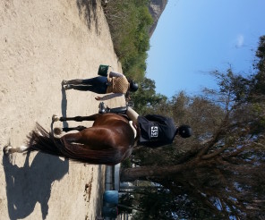 OTTB first horse show