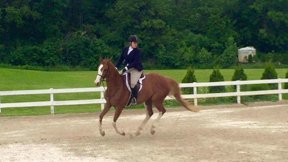 first horse show