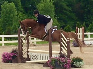 first horse show