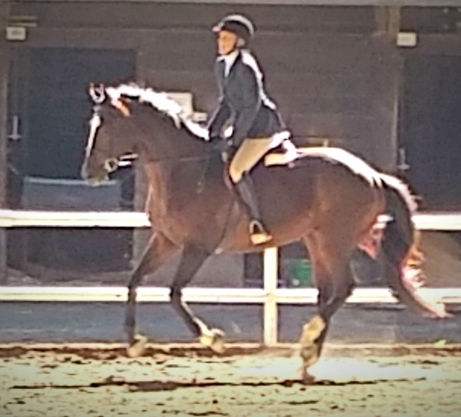 Our canter was fun, but a blur. Literally and photographically. 