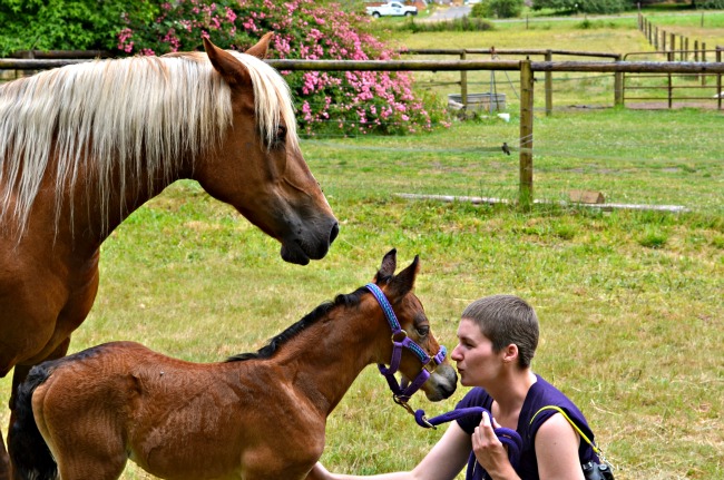 equestrian breast cancer survivor