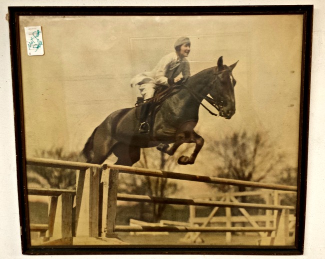 vintage horse jumping photo