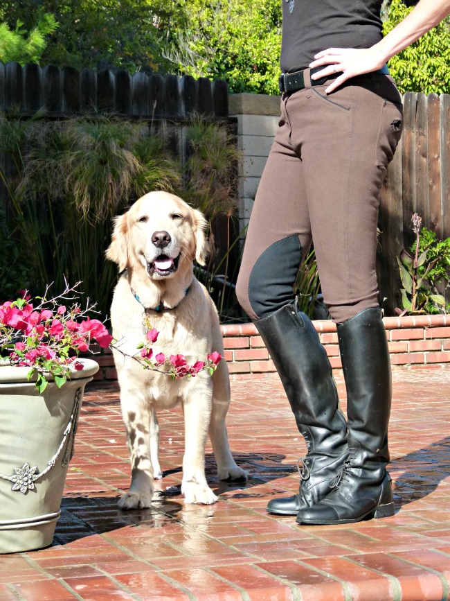 SmartPak Piper Breeches