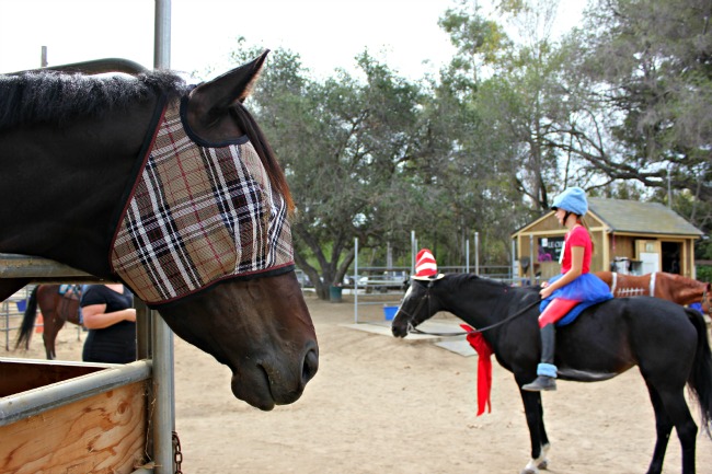 Tiz a Knight costume