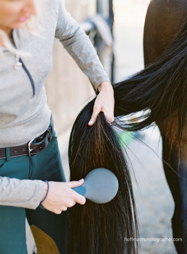 equestrian photography