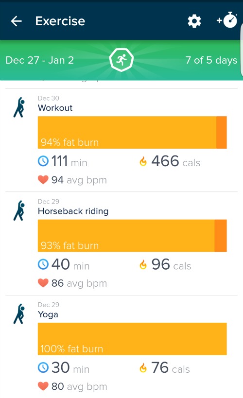 fitbit horseback riding