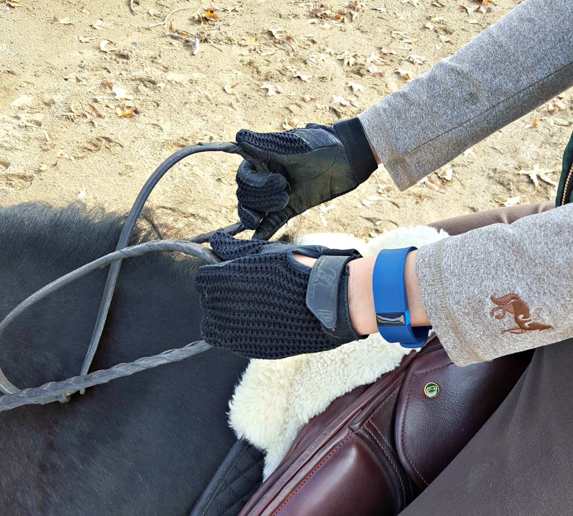 horseback riding fitbit