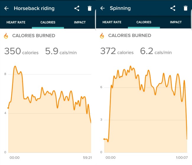 fitbit horseback riding