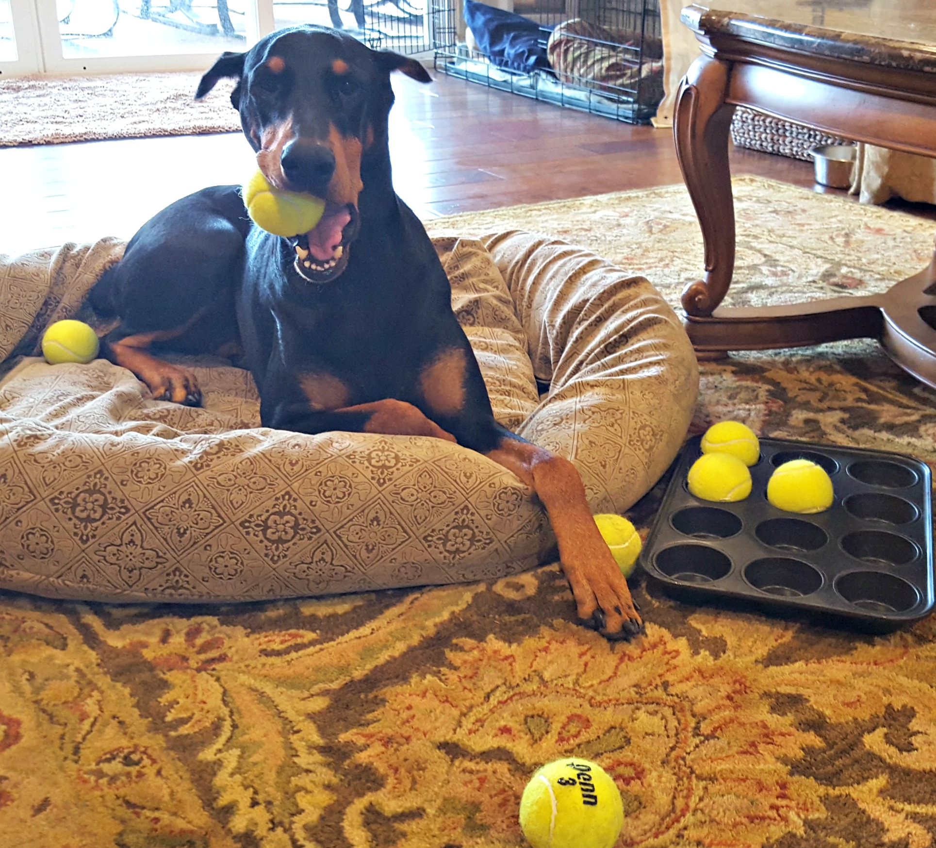 Missie Tennis Ball Game