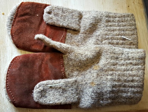 winter riding gloves