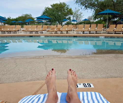 BlogPaws pool