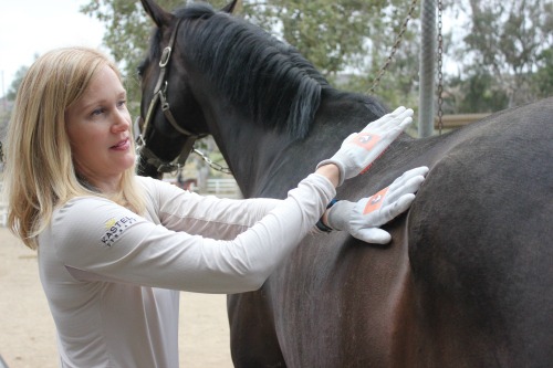 Grooming Hands