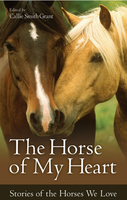 the horse of my heart by callie grant smith book cover of a palomino and bay