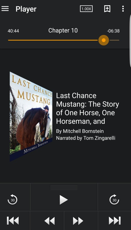 last chance mustang