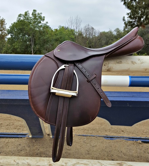 Saddle