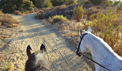 dusty trail