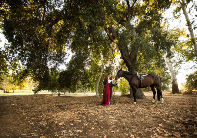 knight-and-maiden-pet-horse