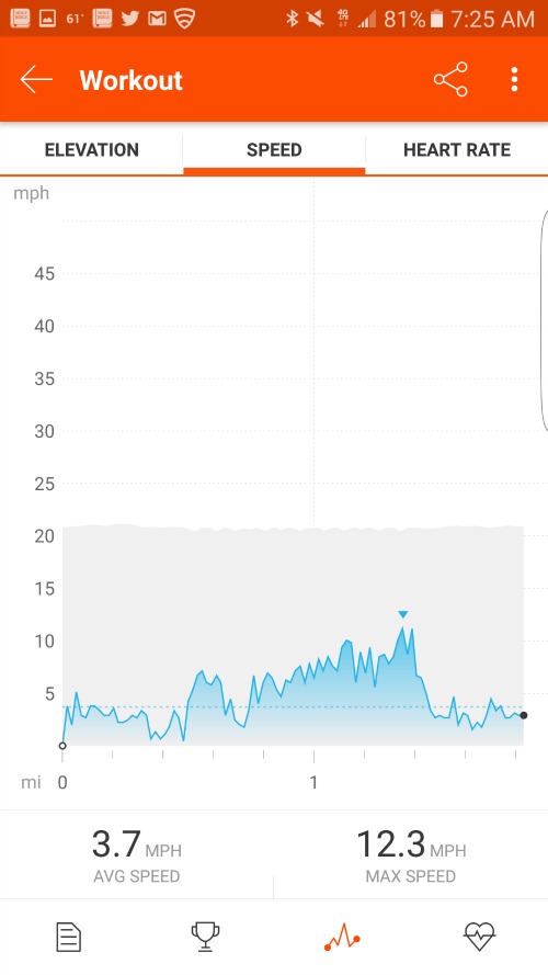 strava horseback