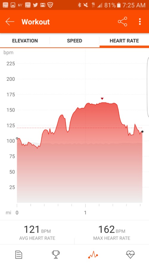 strava horsebackriding