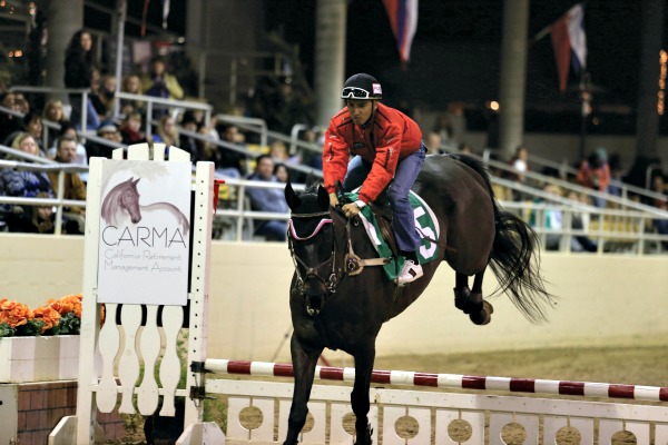 Thoroughbred Horse Show