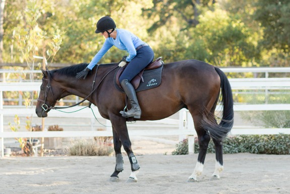 smartpak hadley breeches