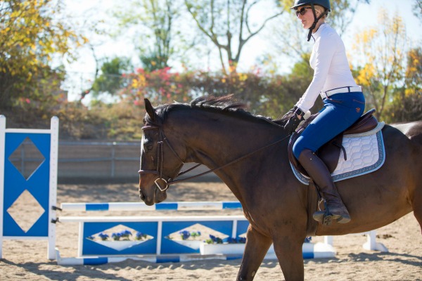 Bay horse with rider wearing SmartPak Piper Midrise Breeches