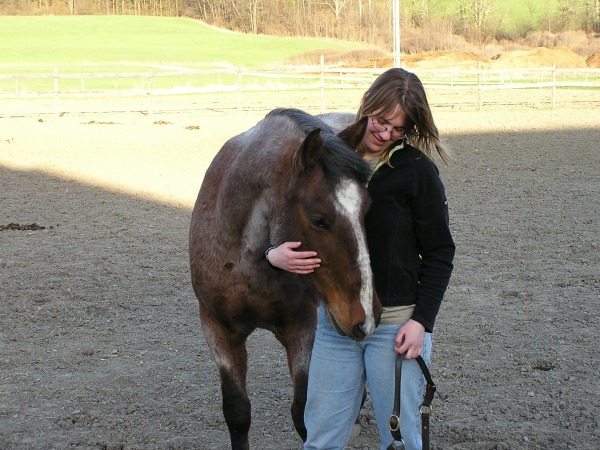 a roan Mustang snuggling his new owner