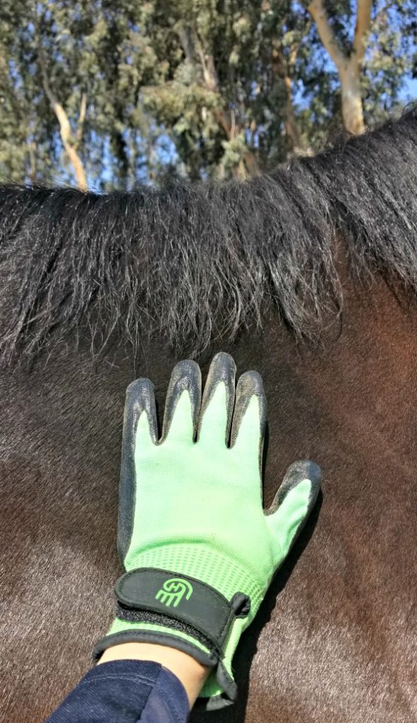 Green HandsOn grooming glove on brown horse.