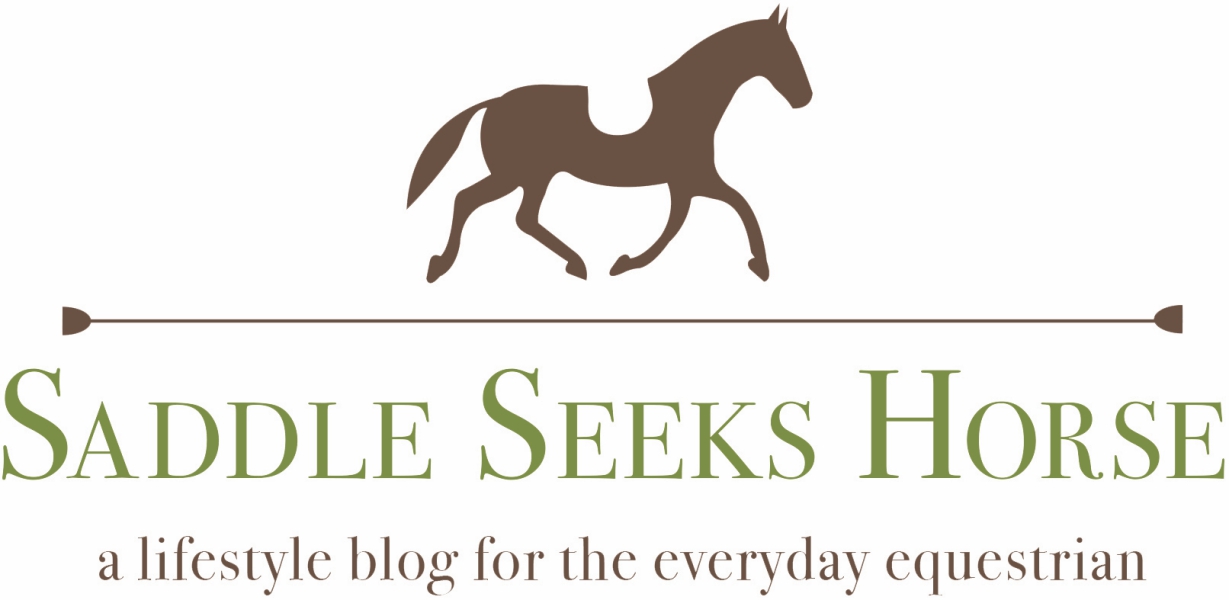 Saddle Seeks Horse