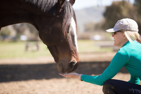 blond woman wearing Kastel sun shirt feeds bay horse a treat 