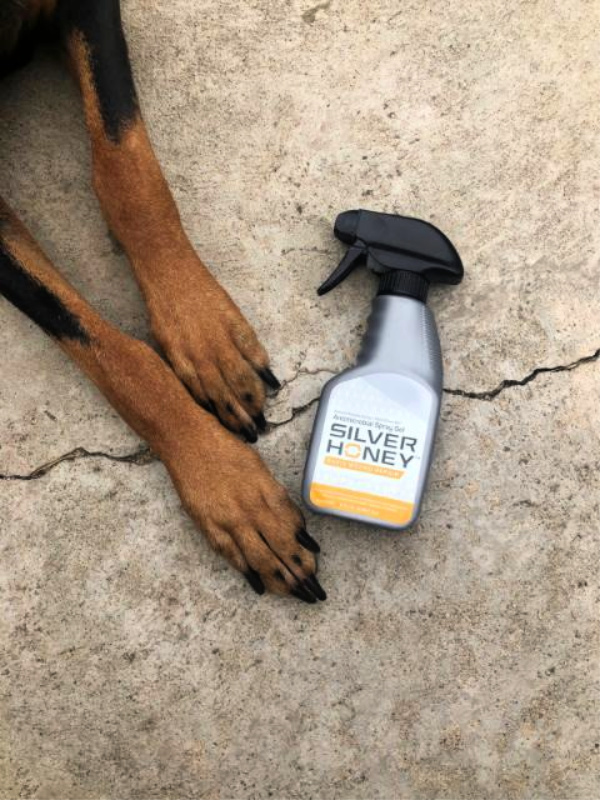 Silver Honey has a hot spot formula for dogs