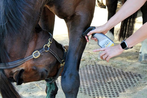 Silver Honey Rapid Wound Care used on horse's abrasion