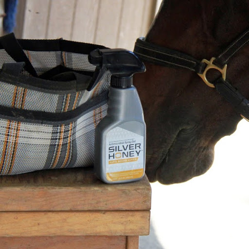 Horse investigates new bottle of Silver Honey Rapid Wound Care