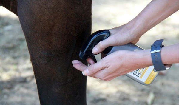 Silver Honey Rapid Wound Care sprays clear with a mild scent.