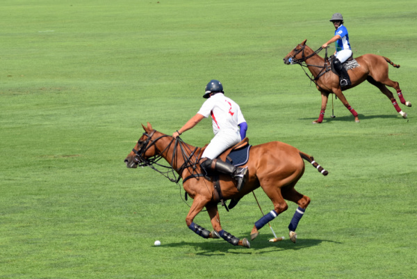 Oak Brook Polo