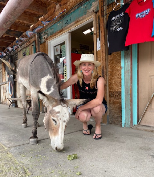 Oliver the burro of Oatman Arizona