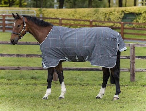 Best Horse Blankets by Corro lightweight