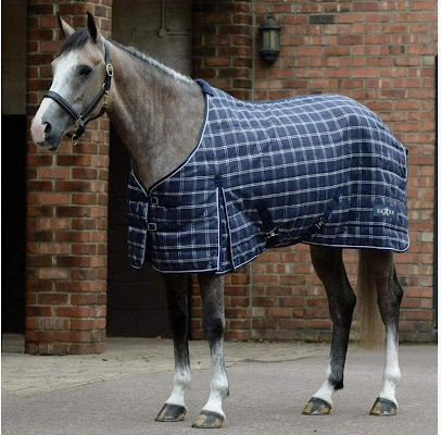 Gray horse wearing stable sheet a best horse blankets available on Corro