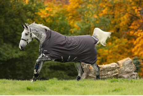 best horse blankets shop corro