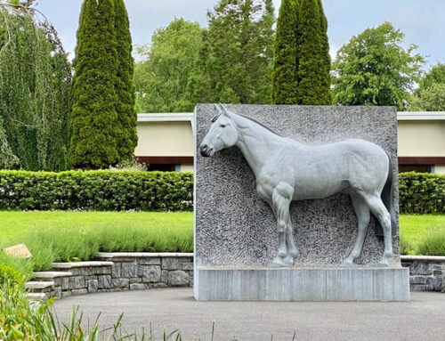 Irish National Stud Daytrip