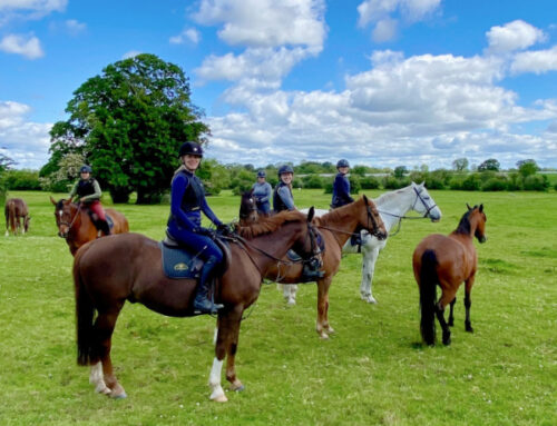 12 Reasons to Take an Ireland Riding Holiday