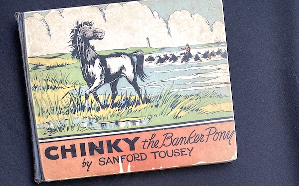 Chinky the Banker Pony by Sanford Tousey on a black background