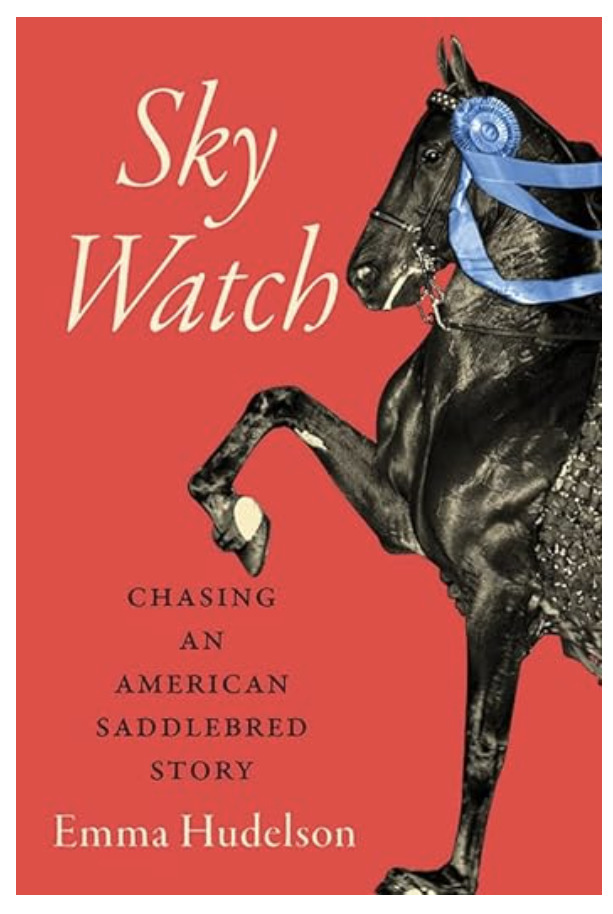 Sky Watch American Saddlebred, books on horses