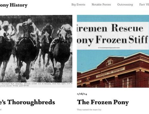 Uncovering Chincoteague Pony History with Sarah Boudreau