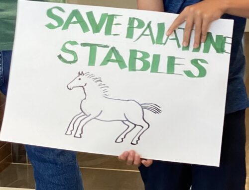 An Open Letter to the Palatine Park Commissioners Regarding Palatine Stables