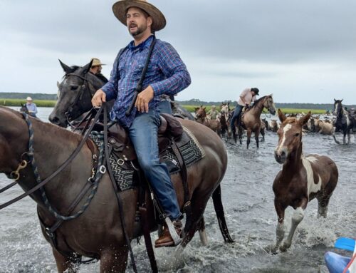 99th Annual Chincoteague Pony Penning Week Roundup